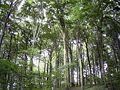 img1_6